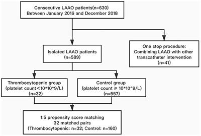 Impact of Thrombocytopenia in Patients With Atrial Fibrillation Undergoing Left Atrial Appendage Occlusion: A Propensity-Matched Comparison of 190 Consecutive Watchman Implantations
